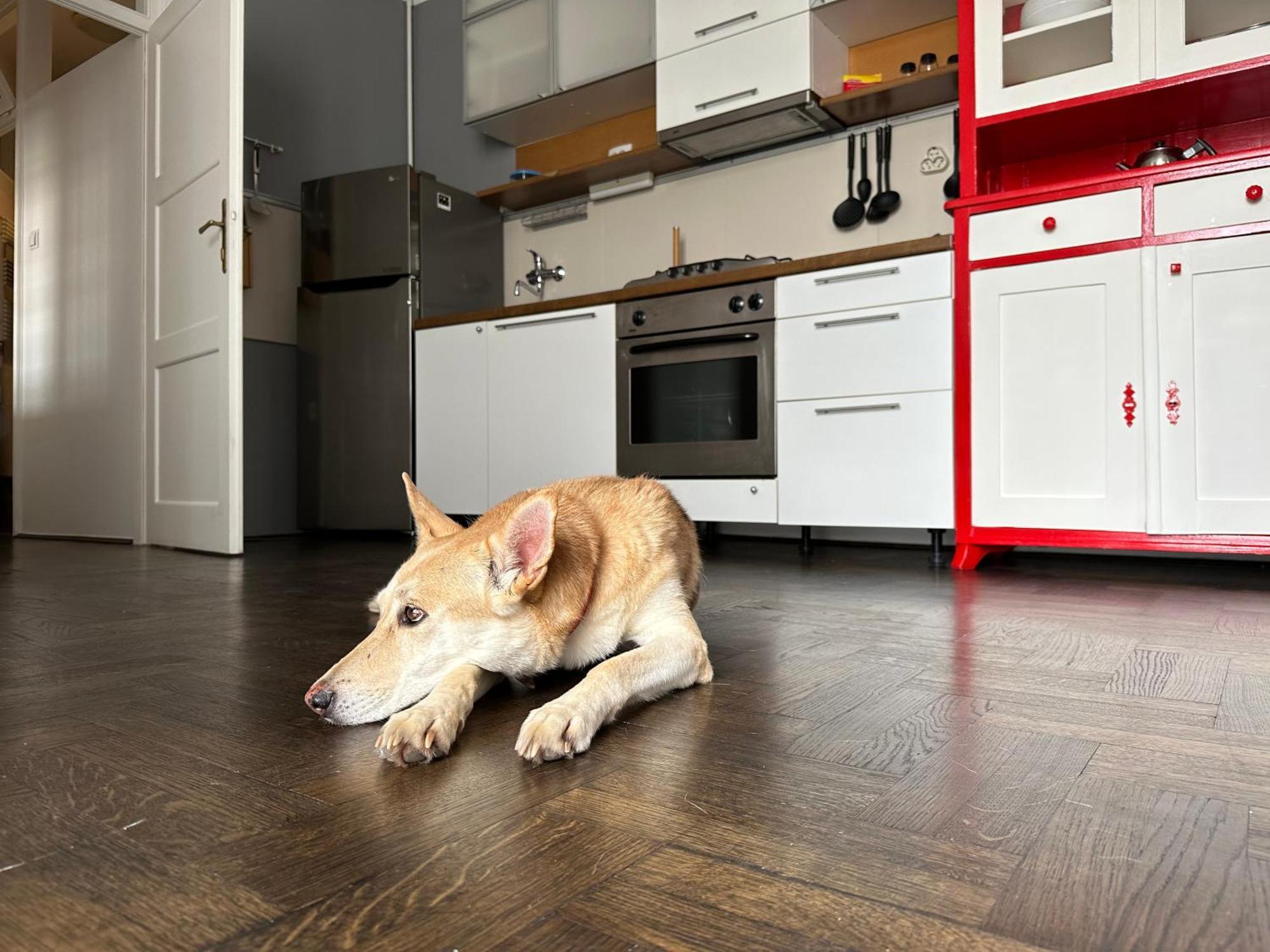 Apartment Hideaway Zagreb Ngoại thất bức ảnh